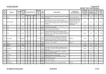 St Mary Redcliffe Tree Schedule