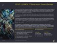 Covid-19 EMEIA EY Government Support Package - Page 2