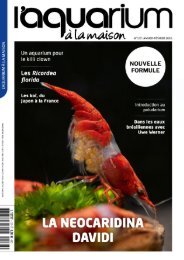 L'aquarium à la maison N° 137