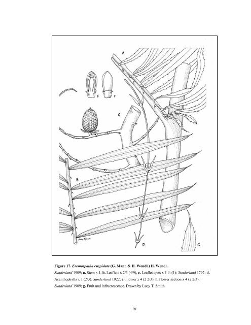 list of figures - Terry Sunderland