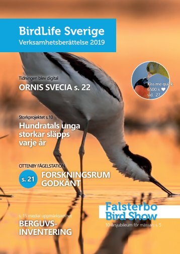 Verksamhetsberättelse BirdLife Sverige 2019