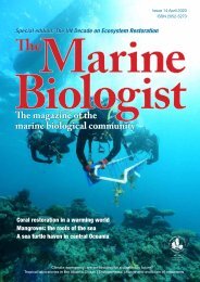 The Marine Biologist Issue 14