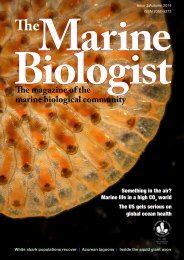The Marine Biologist Issue 3