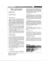 Diseno y Construccion de la Presa La Palma 1a Parte, 1989