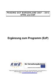 2013 EFRE und ESF Ergänzung zum Programm (EzP)