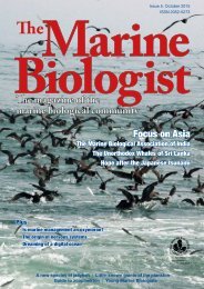The Marine Biologist Issue 5