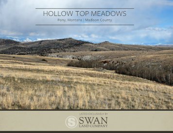 Hollow Top Meadows Offering Brochure 4-21-2020