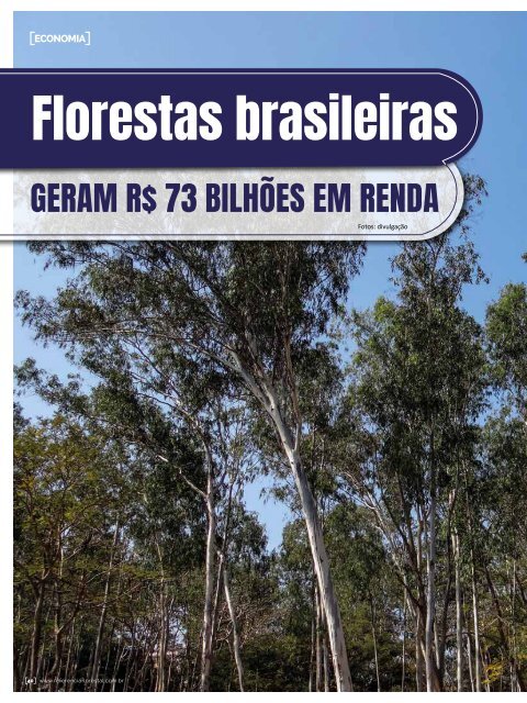 *Abril/2020 Referência Florestal 217