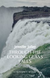 THROUGH THE LOOKING GLASS FALLS 2014_new