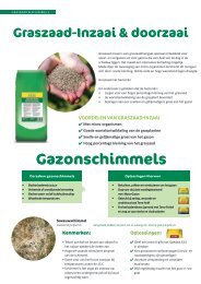 Gazonschimmels