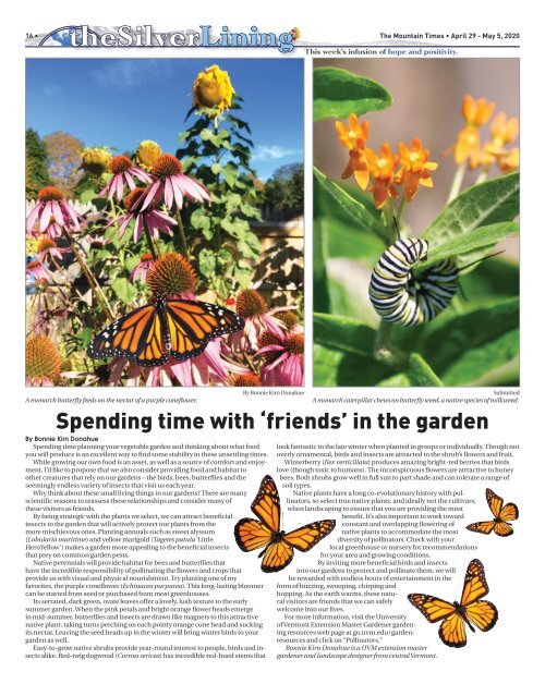 Mountain Times- Volume 49, Number 18 - April 29 - May 5, 2020