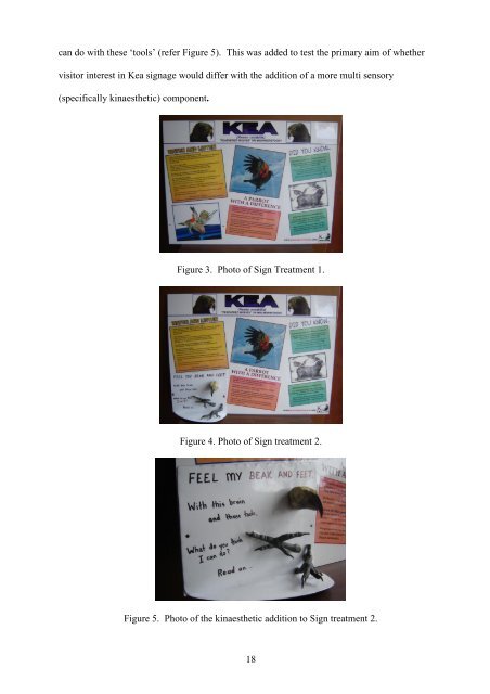 The Dynamics of Kea Behaviour and Interpretive Signage on Visitor ...