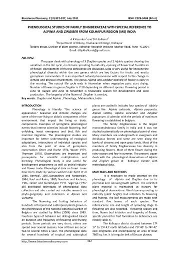 Phenological studies of Family Zingiberaceae with special reference