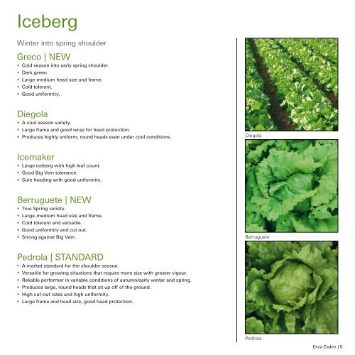 Brochure Iceberg Australia 2020