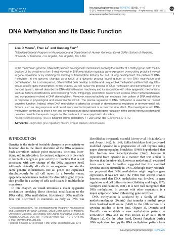 DNA Methylation and Its Basic Function - UCLA Human Genetics