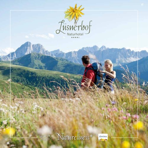 Selfmailer Sommer 2020_IT