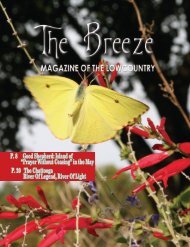 The Breeze May 2020 