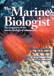 The Marine Biologist Issue 12