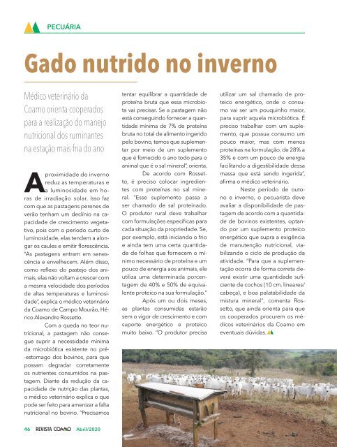 Revista Coamo edição Abril de 2020