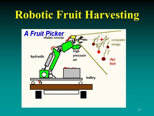 Mechanical Harvesting of Fruit