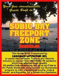 SBFZ-Guide Book