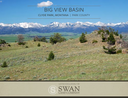 Big View Basin Offering Brochure 5-7-2020
