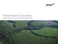 Forest industry consulting brochure - Amec
