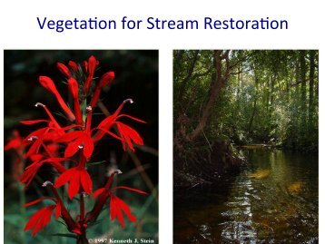 Vegetation for Stream Restoration - Alabama Cooperative Extension ...