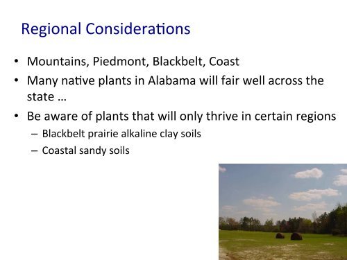 Vegetation for Stream Restoration - Alabama Cooperative Extension ...