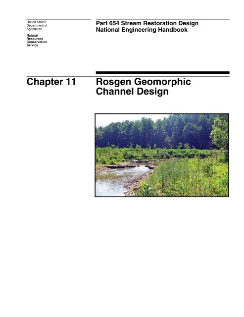Chapter 11--Rosgen Geomorphic Channel Design