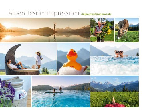 Alpen Tesitin Journal 2020