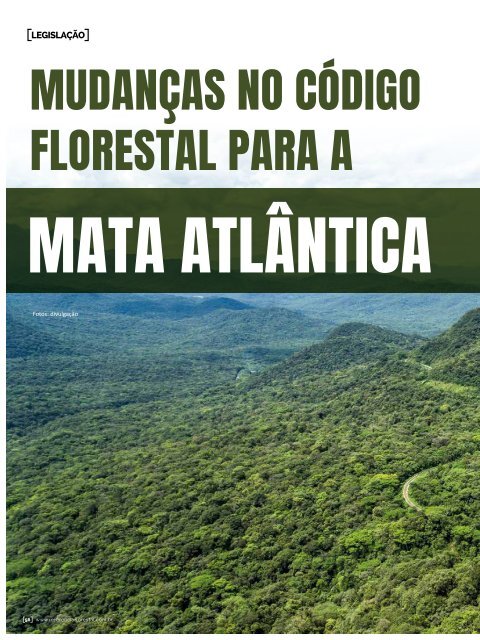 *Maio/2020 Referência Florestal 218