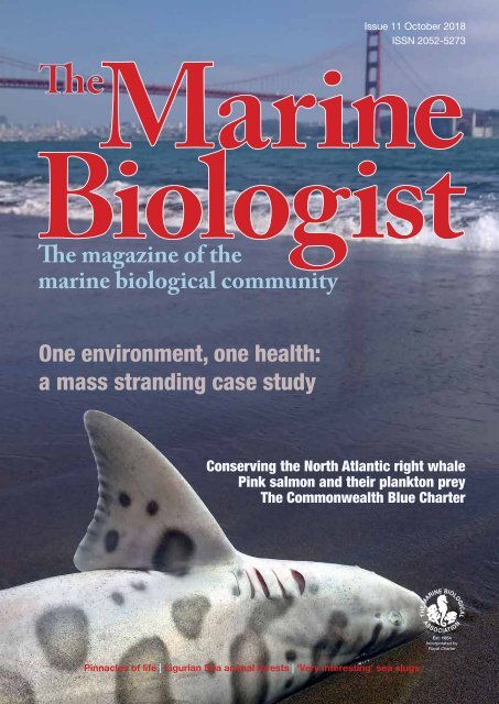 The Marine Biologist Issue 11