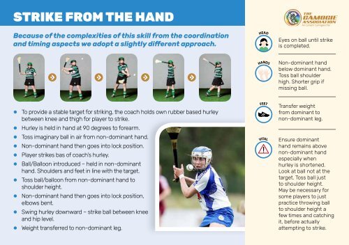 Camogie Skill Cards
