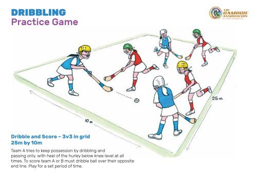 Camogie Skill Cards