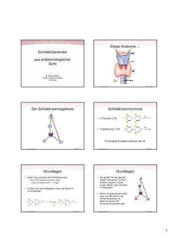 SD_Ca_Teil1 1 - Praxis für Endokrinologie Nürnberg