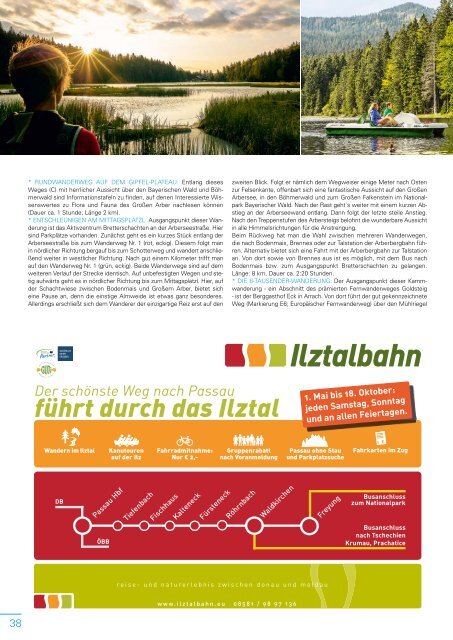 Magazin Waldgeist - Juni & Juli 2020