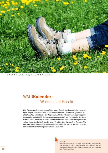 Magazin Waldgeist - Juni & Juli 2020