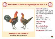 Huhn - RASSEGEFLÜGEL - TANJA MEIER