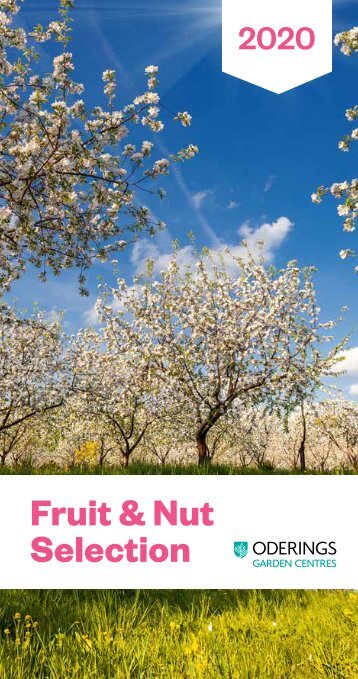 Fruit & Nut Selection 2020