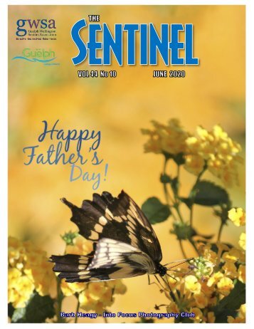 June 2020 issue revised