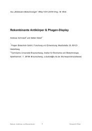 Rekombinante Antikörper & Phagen-Display - Technische ...