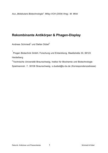 Rekombinante Antikörper & Phagen-Display - Technische ...