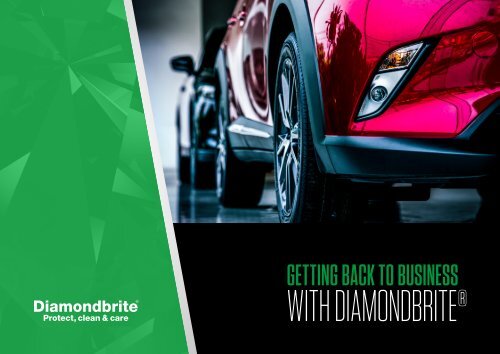 Diamondbrite-backToBusiness-eBook