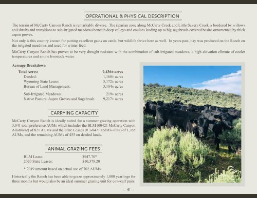 McCarty Canyon Ranch Offering Brochure