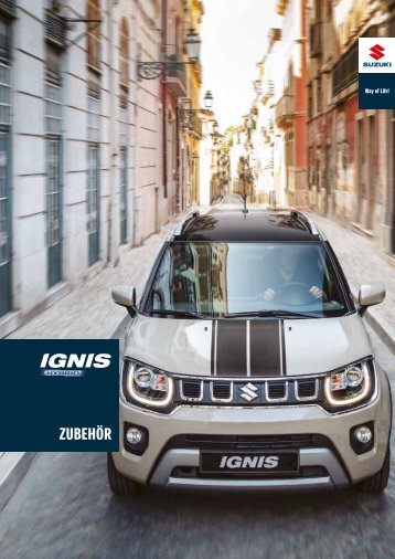IGNIS HYBRID Zubehörprospekt 2021
