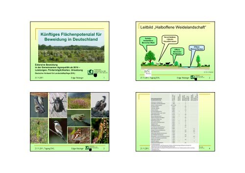 Berufsbild wird ergänzt Biodiversitätswirt Landschaftsbauer besser