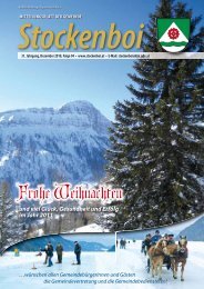 Ausgabe vom Dezember 2010 - in Stockenboi!