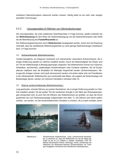 Seeuferrenaturierung - Arbeitsgruppe Bodenseeufer (AGBU)