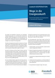 Wege in die Energiezukunft - Transformationspfade der Energiesysteme in internationaler Perspektive